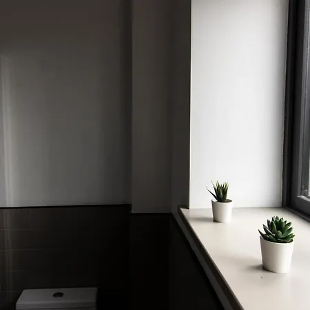 Newly Refurbished And Modern 1 Bedroom House In Dublin1 Dublin