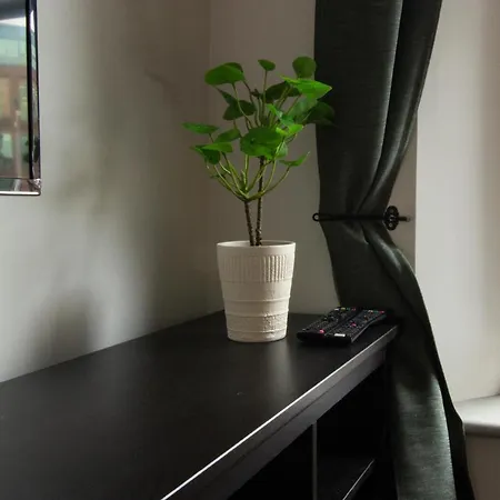 Newly Refurbished And Modern 1 Bedroom House In Dublin1 Dublin